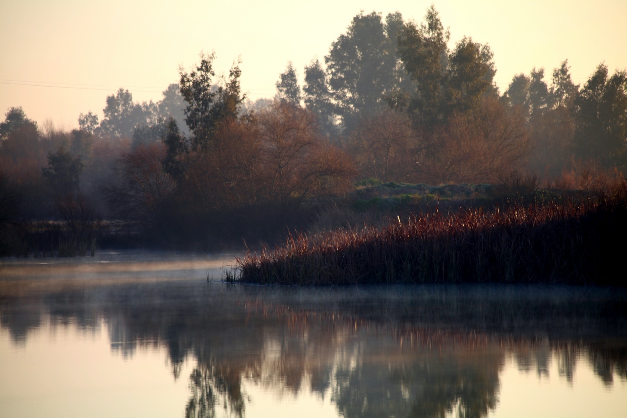Un paseo por el Guadiana I