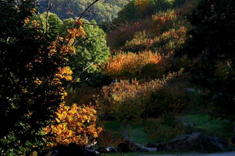 Colores de otoño extremeño Colores de otoño extremeño