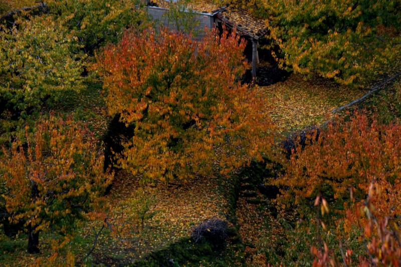 Colores de otoño extremeño Colores de otoño extremeño