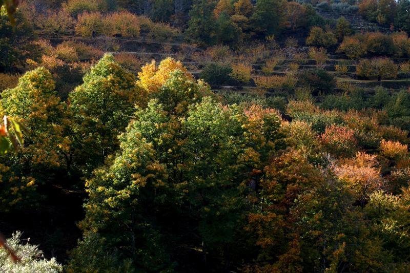 Colores de otoño extremeño Colores de otoño extremeño