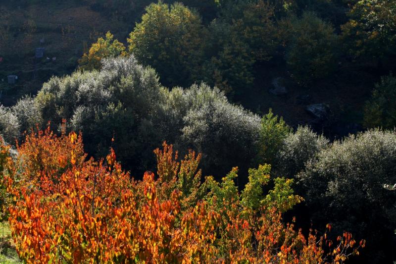 Colores de otoño extremeño Colores de otoño extremeño