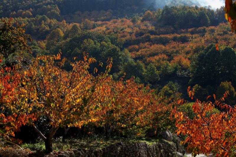 Colores de otoño extremeño Colores de otoño extremeño