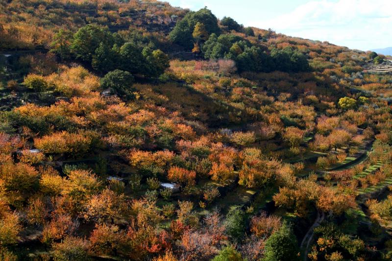 Colores de otoño extremeño Colores de otoño extremeño