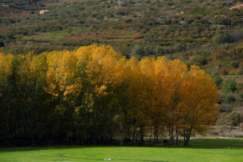 Colores de otoño extremeño Colores de otoño extremeño