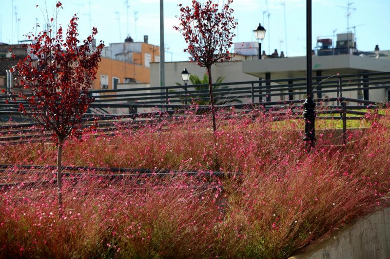 Otoño en Badajoz