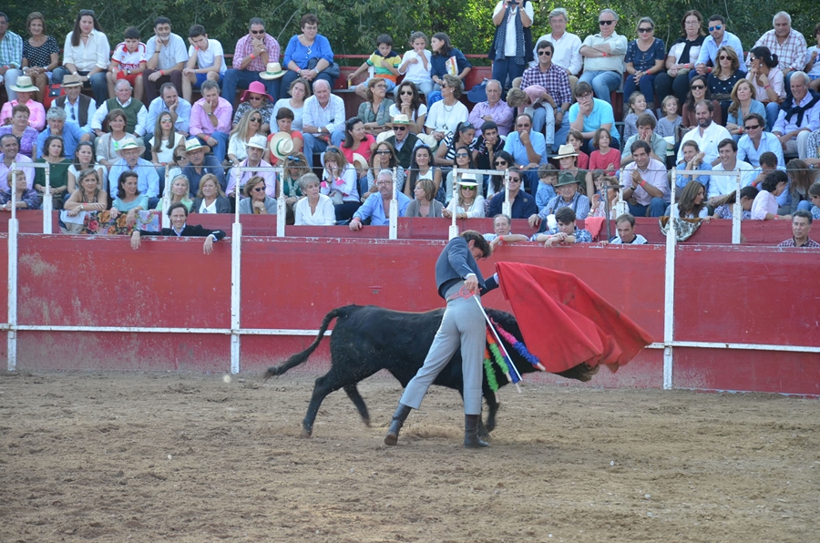 Éxito de asistencia en el Festival Taurino de Las Vaguadas