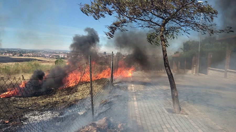 Imágenes del incendio que afecta a las inmediaciones de Las Vaguadas (Badajoz)