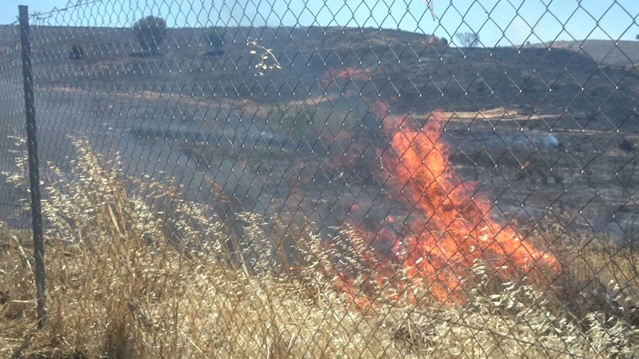 Imágenes del incendio que afecta a las inmediaciones de Las Vaguadas (Badajoz)