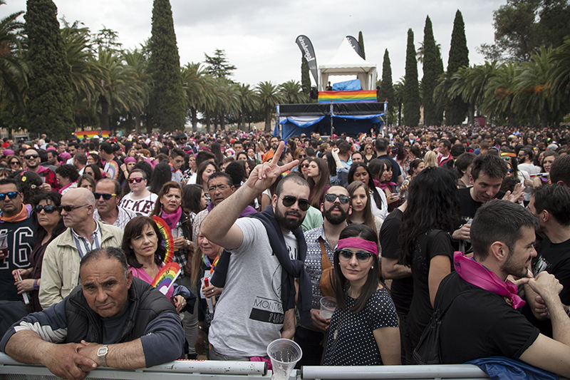 Las mejores imágenes de los Palomos 2015 Parte I