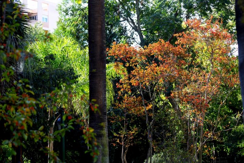 Otoño en Badajoz