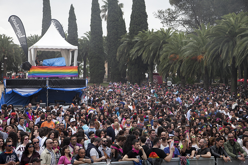 Las mejores imágenes de los Palomos 2015 Parte I