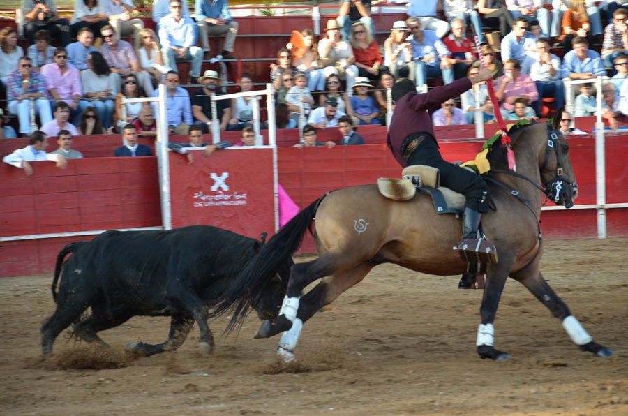 Éxito de asistencia en el Festival Taurino de Las Vaguadas