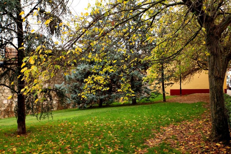 Otoño en Badajoz