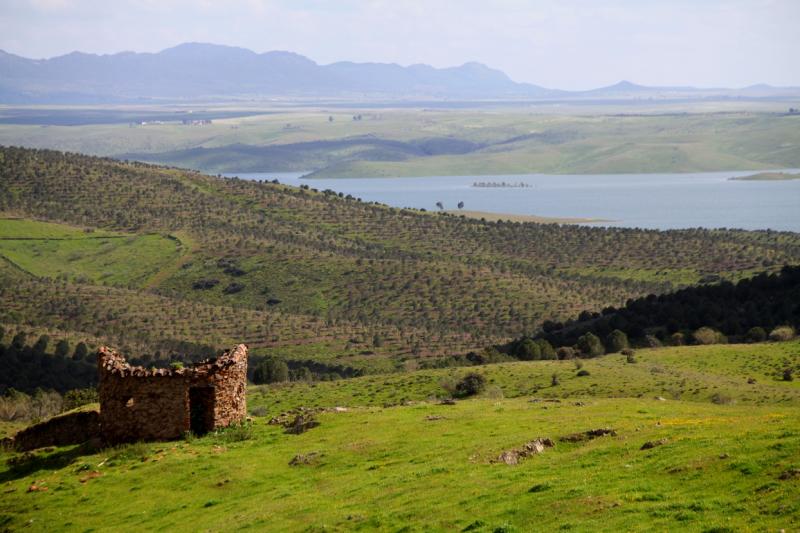 Un paseo por La Serena