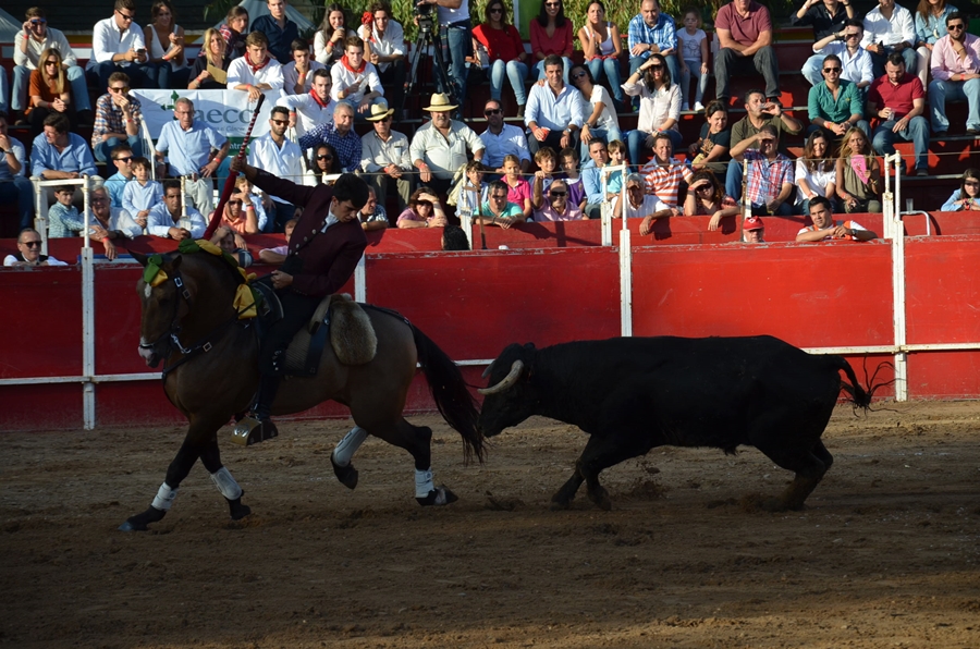 Éxito de asistencia en el Festival Taurino de Las Vaguadas