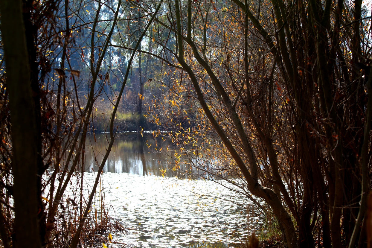 Un paseo por el Guadiana I