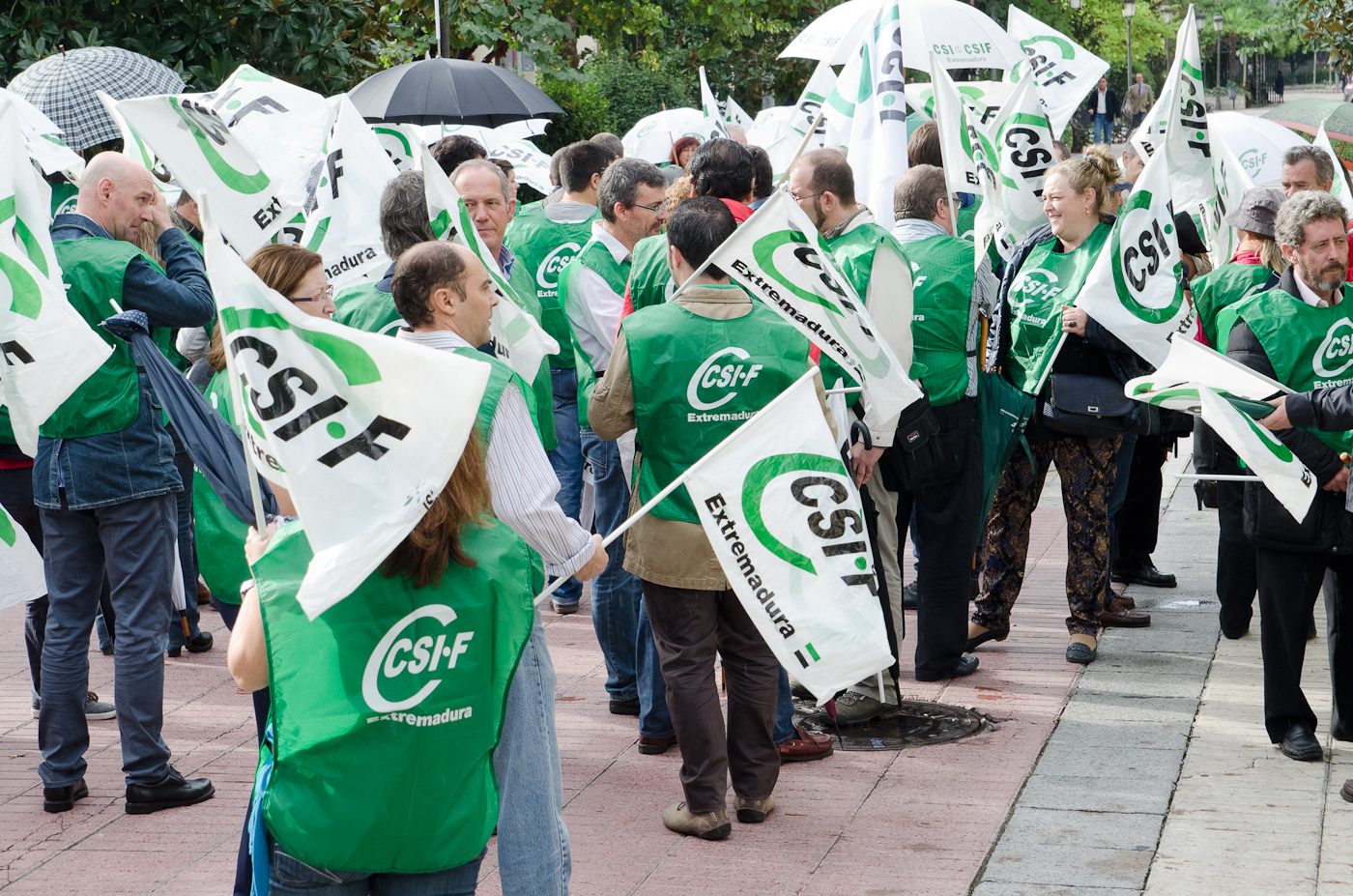 Cadena humana en Badajoz contra la Ley Wert