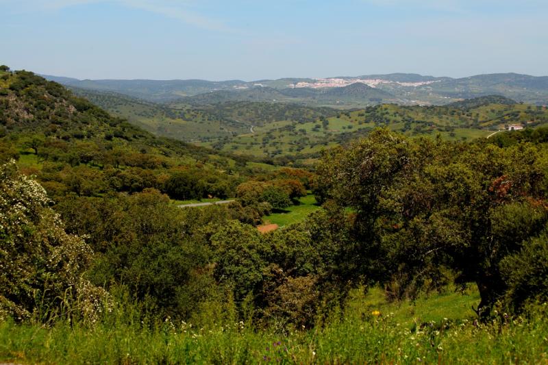 La dehesa pacense en abril