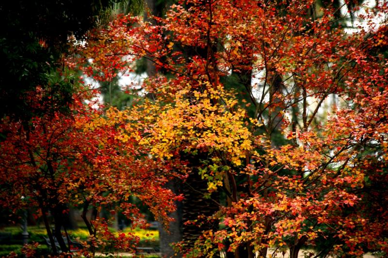 Otoño en Badajoz
