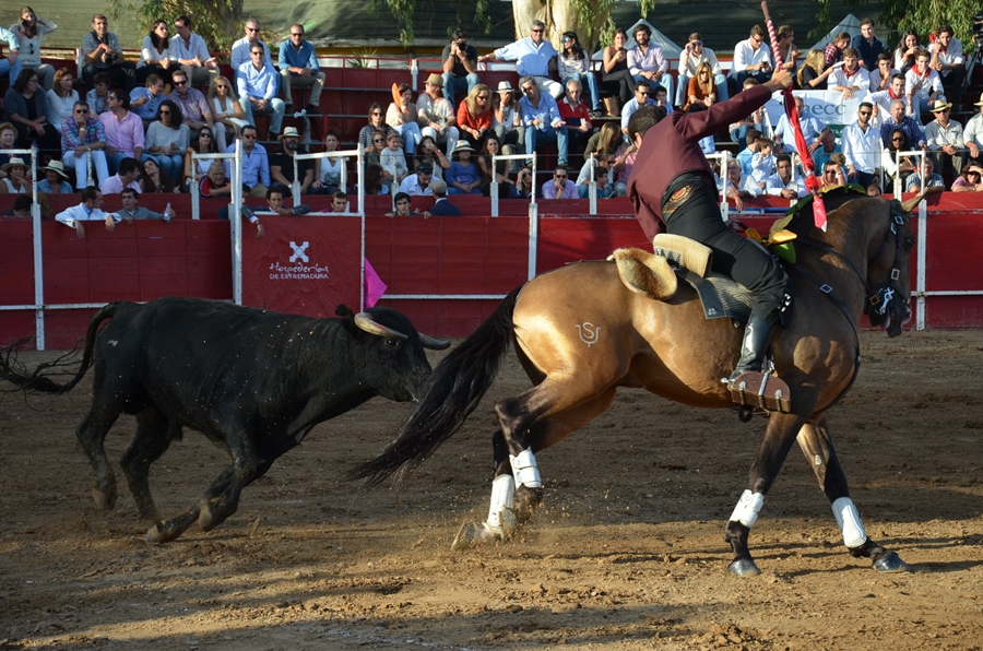 Éxito de asistencia en el Festival Taurino de Las Vaguadas