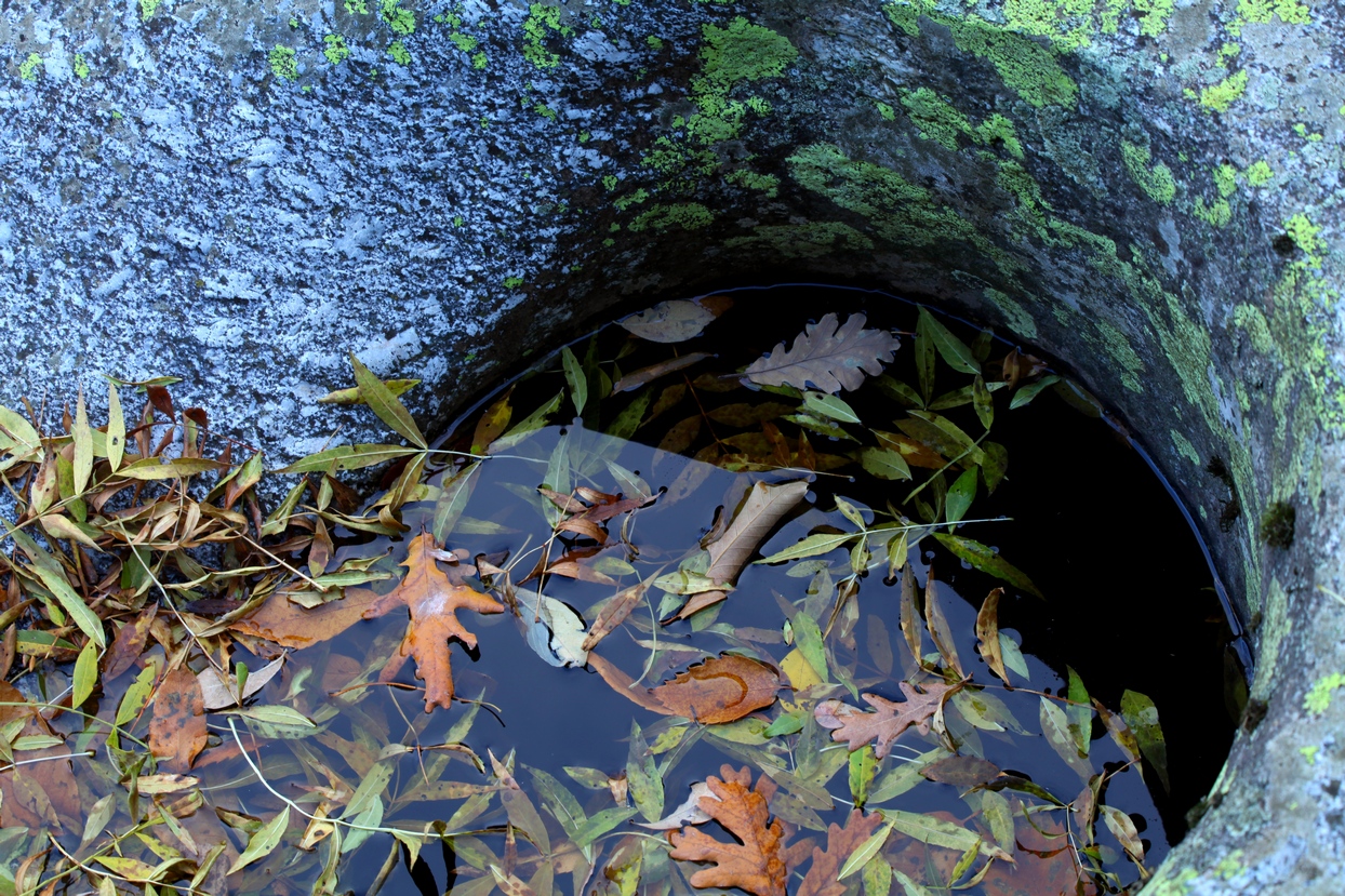 Colores de otoño extremeño Colores de otoño extremeño