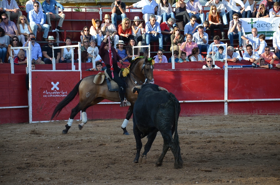 Éxito de asistencia en el Festival Taurino de Las Vaguadas