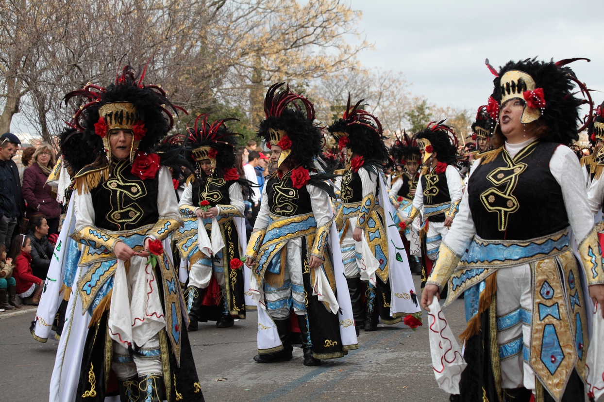 Gran Desfile de Comparsas del Carnaval de Badajoz 2013