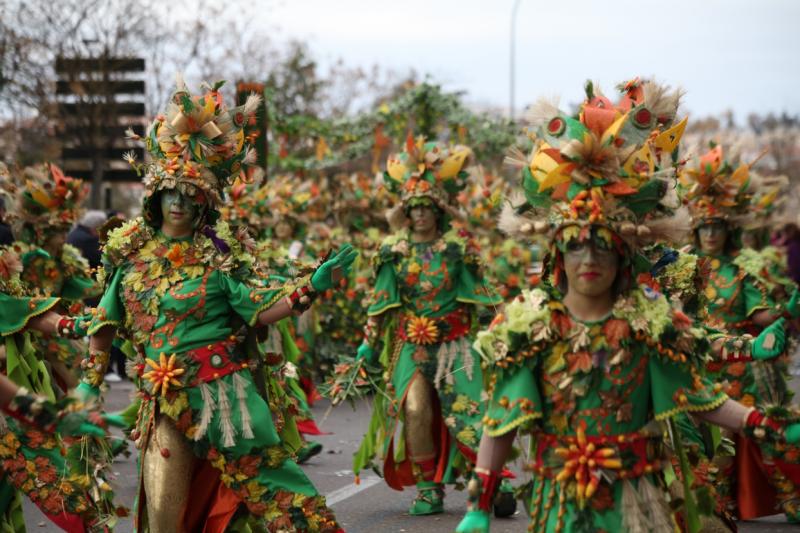 Gran Desfile de Comparsas del Carnaval de Badajoz 2013 - Parte 2