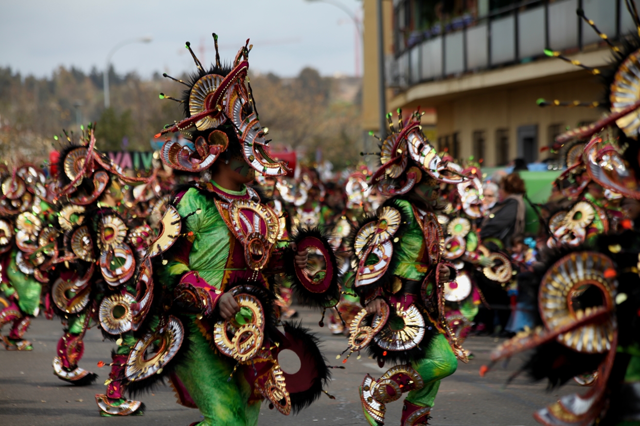 Gran Desfile de Comparsas del Carnaval de Badajoz 2013