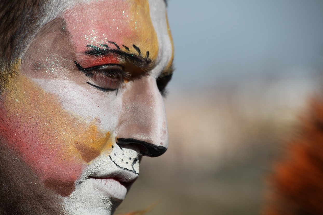 Los mejores primeros planos del Desfile de Comparsas del Carnaval de Badajoz 2013