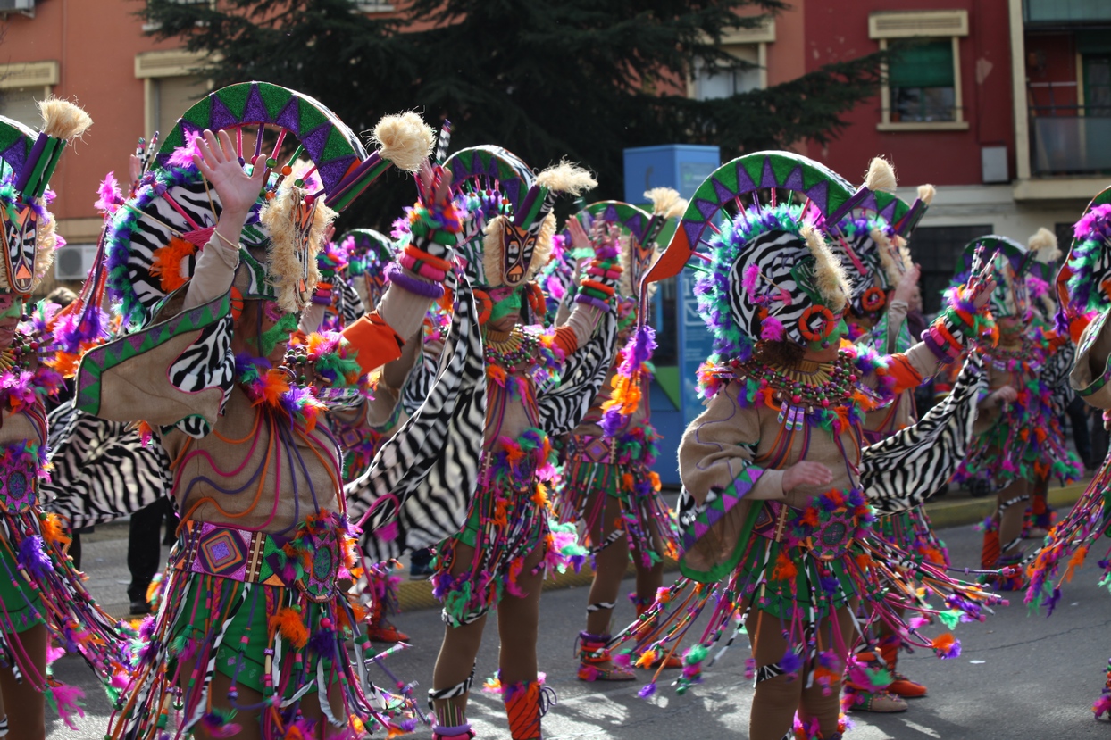 Gran Desfile de Comparsas del Carnaval de Badajoz 2013