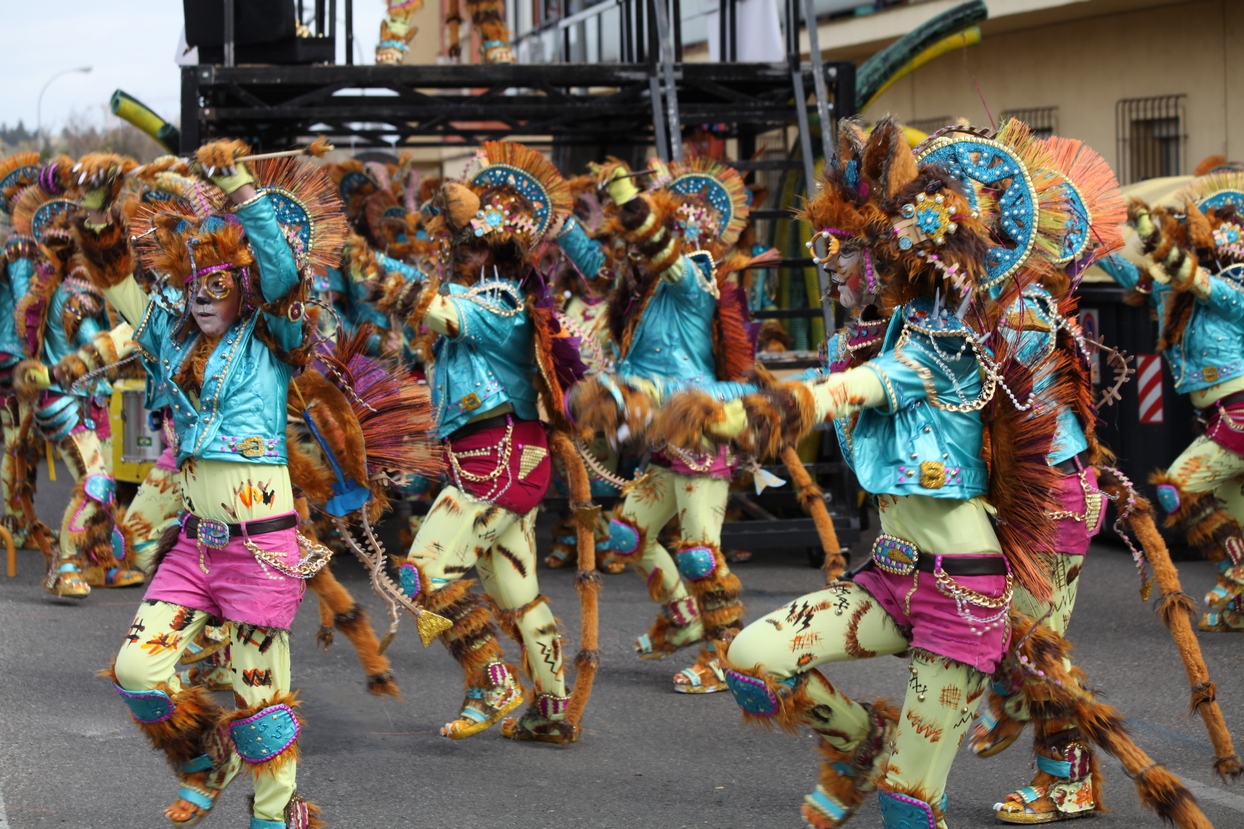 Gran Desfile de Comparsas del Carnaval de Badajoz 2013