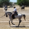 Concurso Nacional de Acoso y Derribo en Badajoz