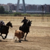 Concurso Nacional de Acoso y Derribo en Badajoz