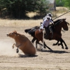 Concurso Nacional de Acoso y Derribo en Badajoz