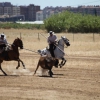 Concurso Nacional de Acoso y Derribo en Badajoz