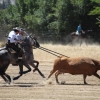 Concurso Nacional de Acoso y Derribo en Badajoz