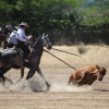 Concurso Nacional de Acoso y Derribo en Badajoz