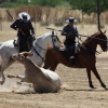 Concurso Nacional de Acoso y Derribo en Badajoz