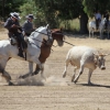 Concurso Nacional de Acoso y Derribo en Badajoz