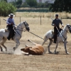 Concurso Nacional de Acoso y Derribo en Badajoz