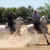 Concurso Nacional de Acoso y Derribo en Badajoz