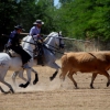 Concurso Nacional de Acoso y Derribo en Badajoz