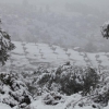 Imágenes de la nevada en la provincia de Badajoz