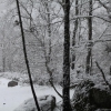 Imágenes de la nevada en la provincia de Badajoz