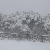 Imágenes de la nevada en la provincia de Badajoz