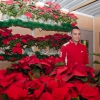 La iluminación y el mercado navideño dan la bienvenida a la Navidad en Badajoz