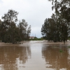 Punta de la crecida del río Guadiana a su paso por Badajoz y Caya