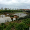 Situación actual del río Guadiana a su paso por Badajoz