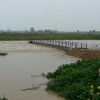 Situación actual del río Guadiana a su paso por Badajoz